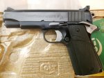 colt 1.jpg
