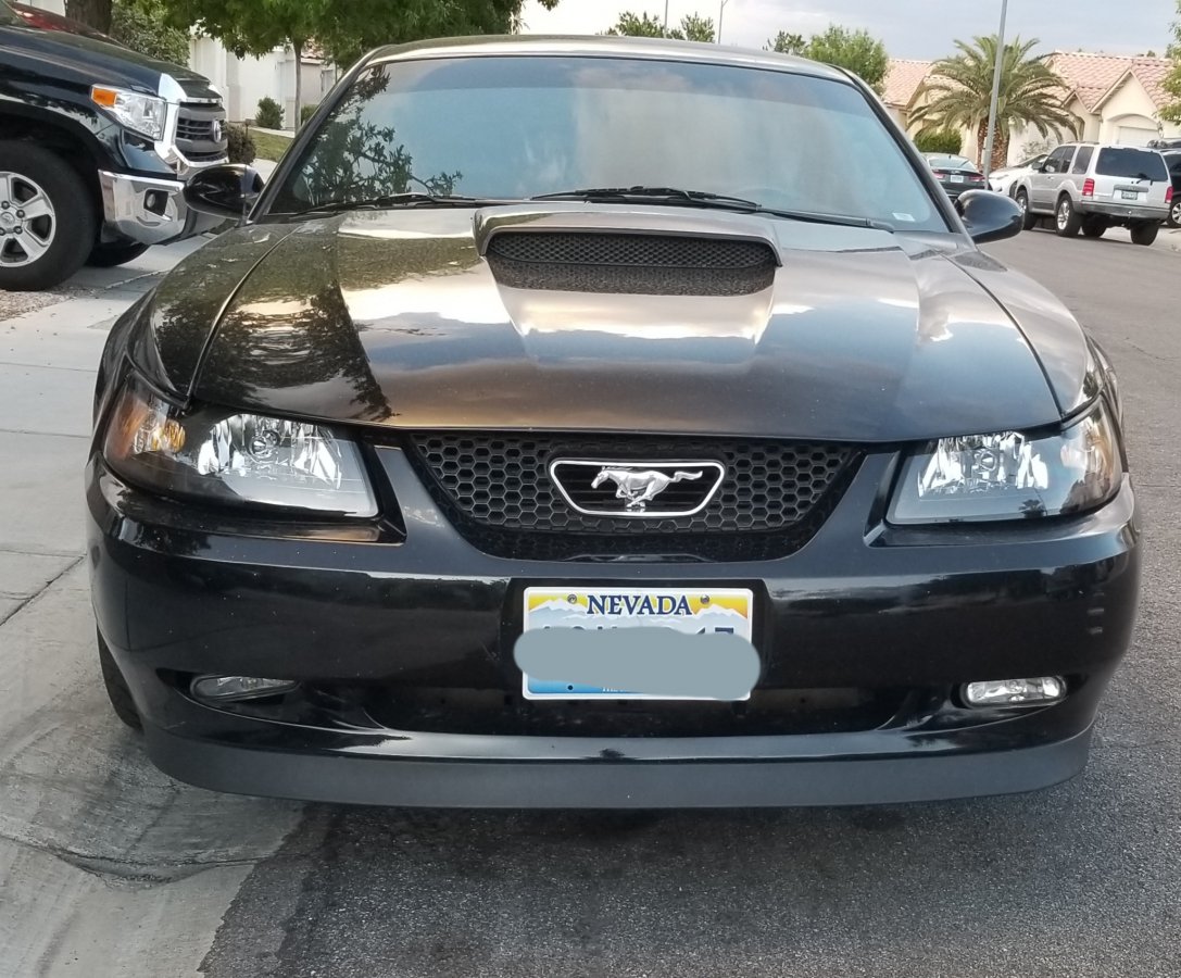 20190526_193112.jpg