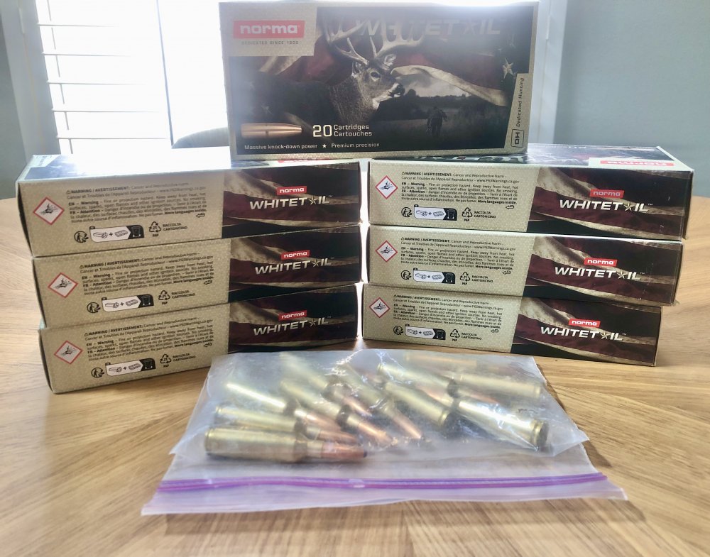 2025-11-11 11.03.27.jpeg