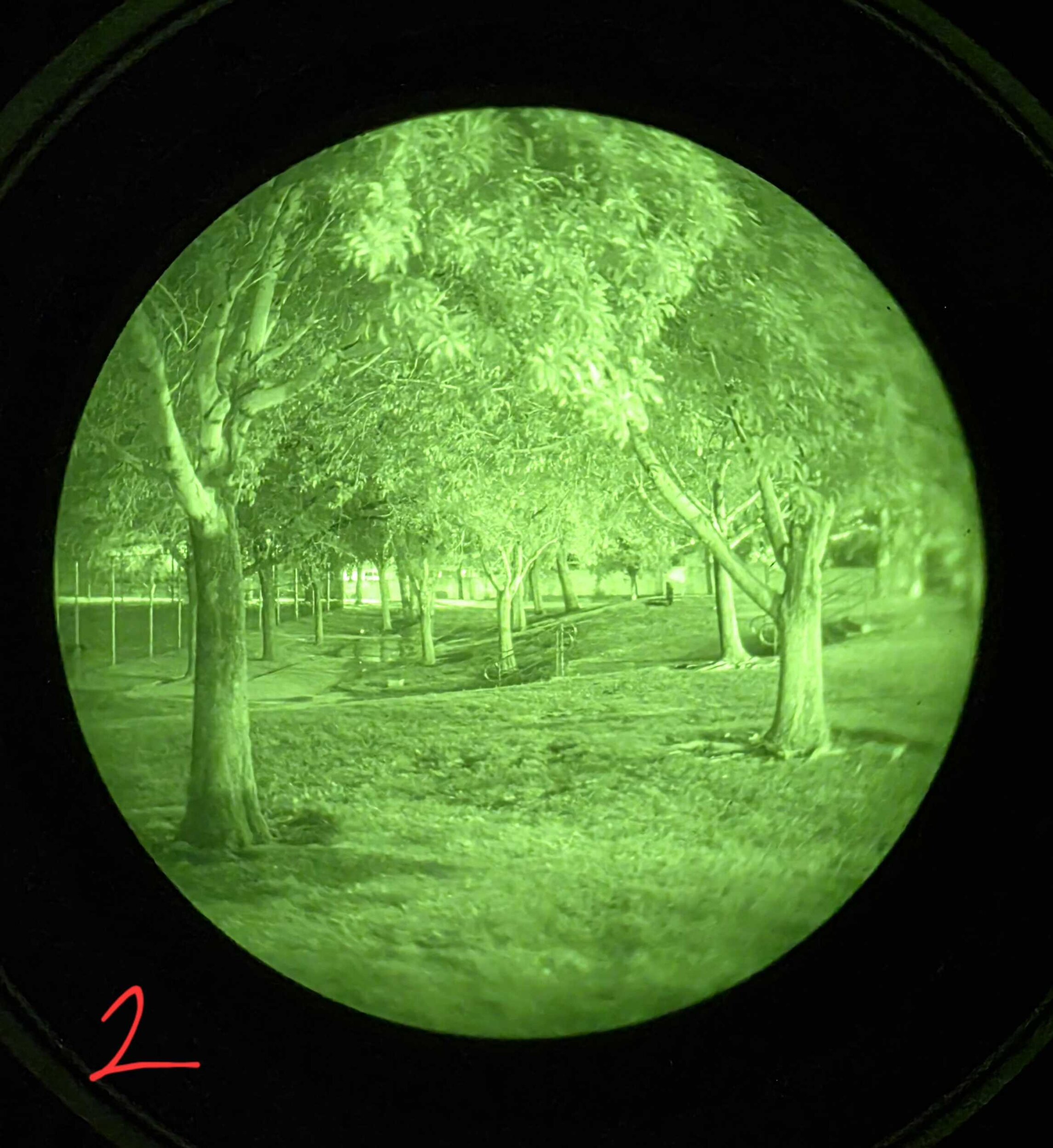 20260501_005445.jpg