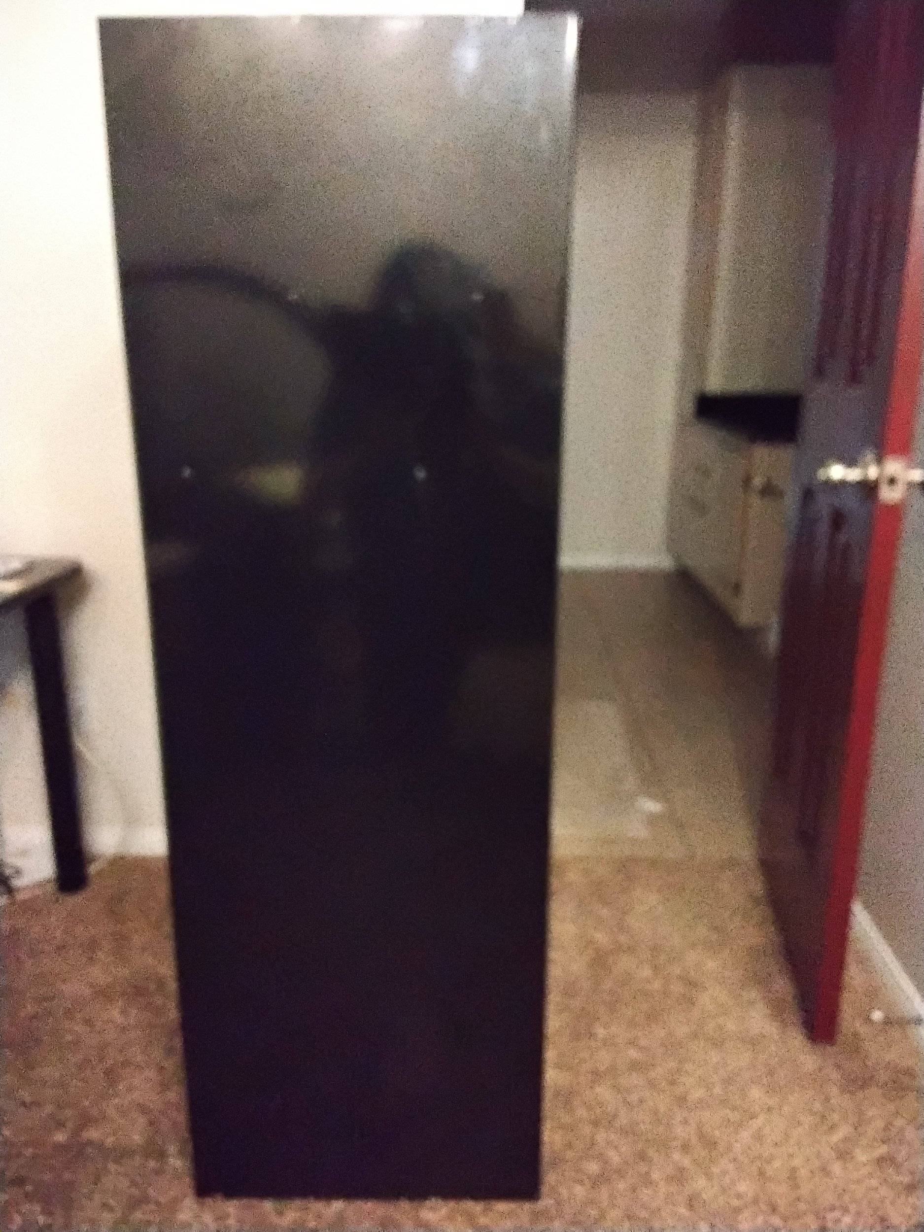 20260503_143133.jpg