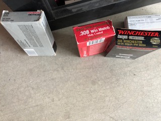 308 ammo.jpg