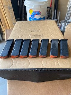 43x mag - Copy.jpg