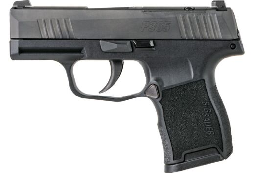 G365380BSSMS.jpg