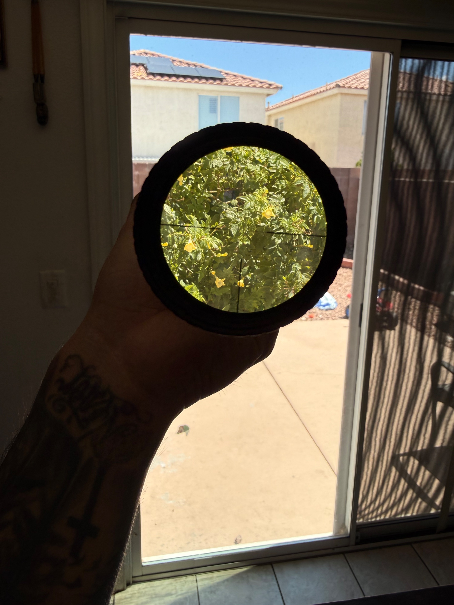 IMG_2934.jpeg
