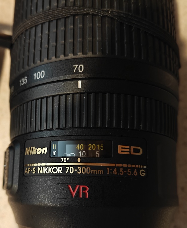 Nikon 4.jpg