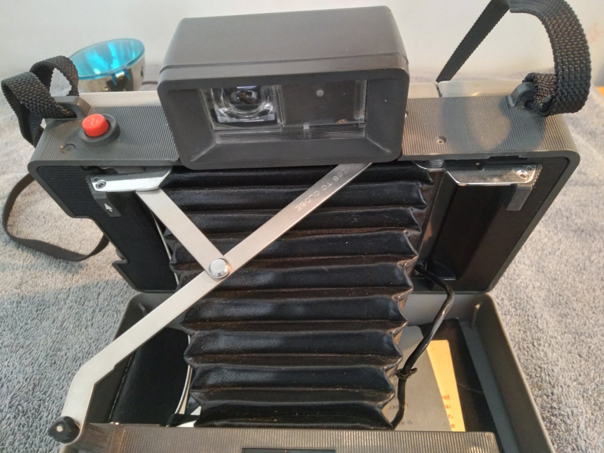 Poloroid 3.jpg