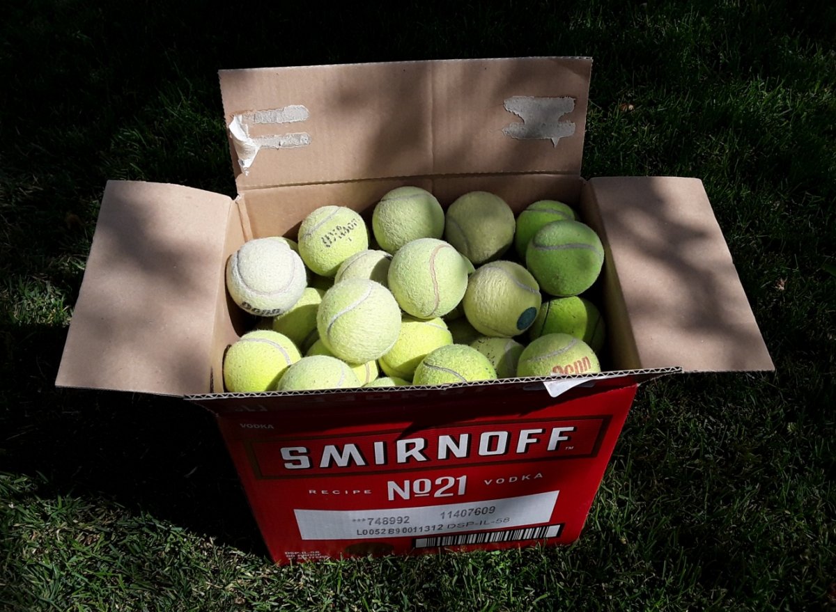 Tennis_Balls.jpg