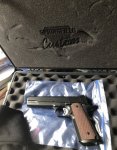 Springfield Pro 1.jpg