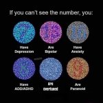 FB_IMG_1646403806354.jpg