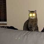 5F12A84F-0B93-433A-A46F-11F7DA1E4FBB.jpeg 5F12A84F-0B93-433A-A46F-11F7DA1E4FBB.jpeg