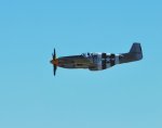 DSC_0168.JPG