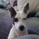 20230226_154732.jpg 20230226_154732.jpg