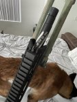 IMG_2718.jpeg