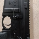 IMG_20230620_201911.jpg IMG_20230620_201911.jpg