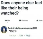 1698145611108.jpg