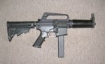 IMG_1499.jpeg