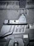 IMG_7953.jpeg