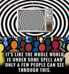 1000009121.jpg 1000009121.jpg