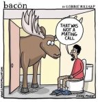 1000009235.jpg 1000009235.jpg