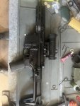 IMG_6253.jpeg