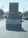 IMG_20250401_100556032.jpg
