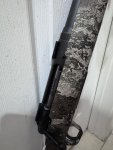 IMG_8205.jpeg