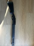 IMG_0252.jpeg
