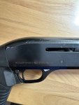 IMG_9284.jpeg