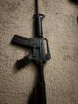 IMG_0582.jpeg