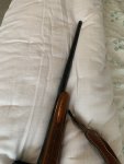 IMG_6642.jpeg