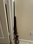 IMG_1777.jpeg