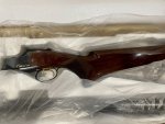 IMG_6392.jpeg