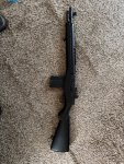IMG_2650.jpeg