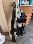 IMG_2651.jpeg