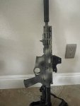 IMG_2231.jpeg