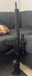 IMG_4303.jpeg