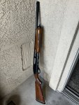 IMG_5565.jpeg