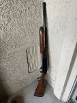 IMG_5566.jpeg