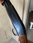 IMG_5567.jpeg