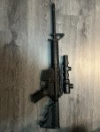 IMG_8384.jpeg