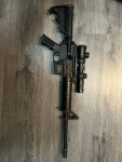 IMG_8383.jpeg