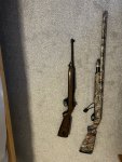 IMG_6781.jpeg