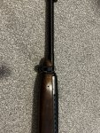 IMG_6784.jpeg