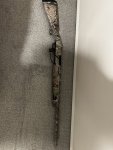 IMG_6798.jpeg
