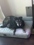 IMG_5640.jpeg