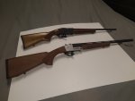 Shotgun1.jpg