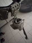 IMG_5352.jpeg