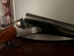IMG_0978.jpeg