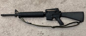 IMG_0172.jpeg IMG_0172.jpeg